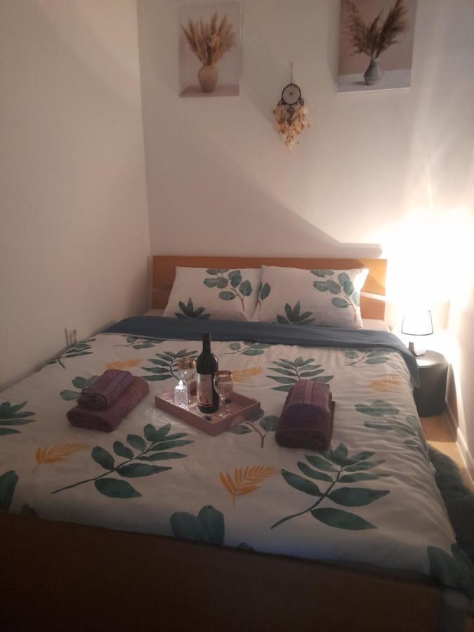 Apartman Lela Vrsac Exterior foto