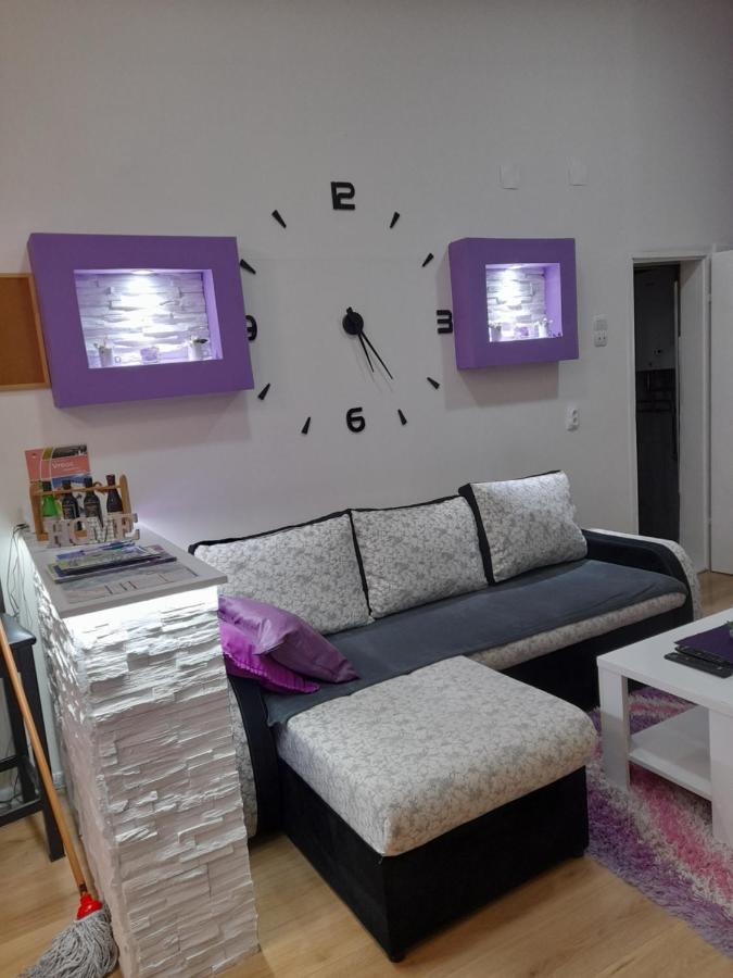 Apartman Lela Vrsac Exterior foto