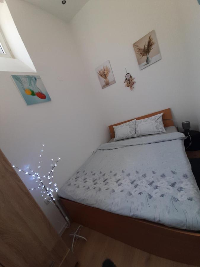 Apartman Lela Vrsac Exterior foto